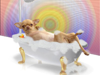Spa Bath